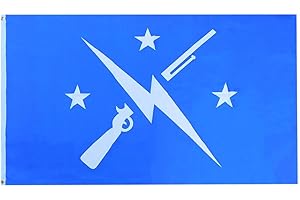 Fallout Commonwealth Minutemen Lightning Bolt Flag