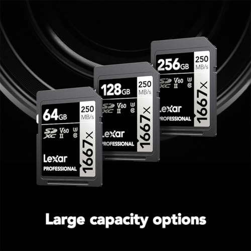 Lexar Professional 1667x V60 256GB