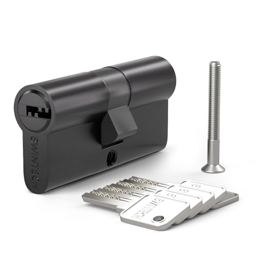 Bwintech 1 Stück 30/30mm Euro Messingzylinder, 60mm Schlüssel/Schlüsselzylinderschloss mit 5 horizontalen Messingschlüsseln,A