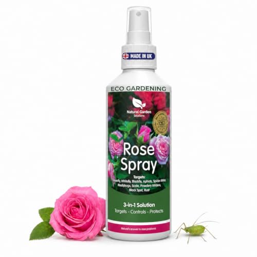 Black Spot Spray for Roses | Ready To Use 3 in 1 Solution Target Control Protect | Aphid Solution for Roses Greenfly and Blackspot Treatment | Rose Protection Spray | 250ml