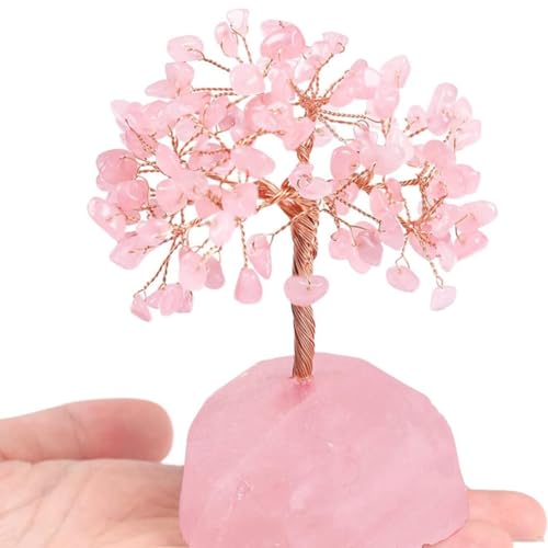 Arboles Decorativos, Home Imagen adicional