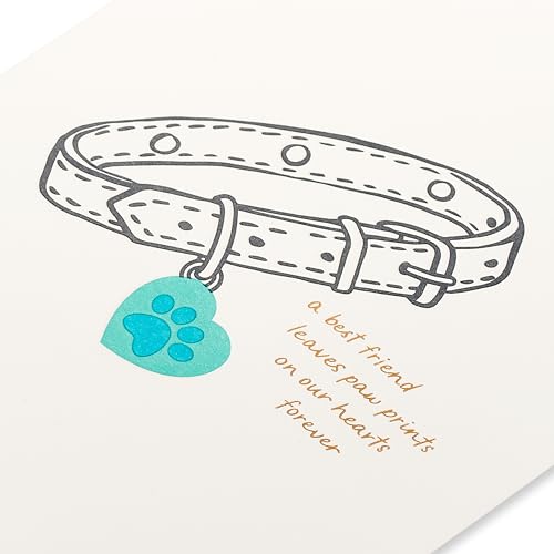Image of Papyrus Blank Pet Sympathy Card (Paw Prints on Our Hearts)