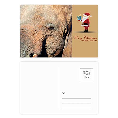 Cartes postales éléphant de Noël à offrir en cadeau aux passionnés de nature