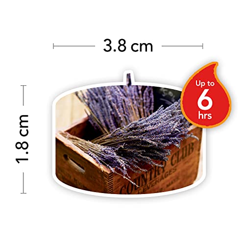 Yankee Candle Dried Lavender and Oak Scented Tealight Candle