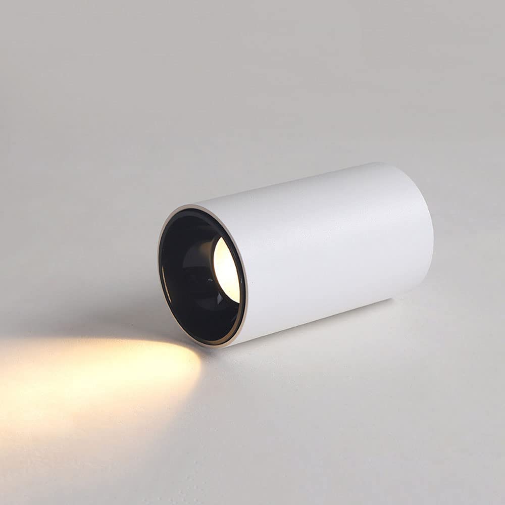 ITOSUI LED Ceiling Spotlight Cylindrical Ceiling Lamp, 7W Aluminum Surface Mounted Spot Lighting Fixtures for Hallway Gallery Kitchen Picture Lights & Mini Accent Spotlights