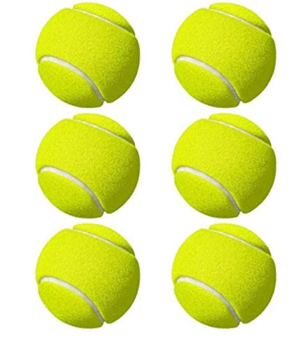 Tennis Cricket Ball (B08SQW7NTM) Amazon Price History, Amazon Price Tracker