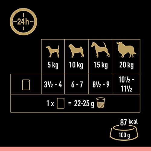 Cesar Hundefutter Feines im Frischebeutel