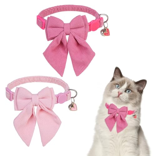 SCENEREAL Lp x&X^CbVȒlN^CAsN̕LpANZT[ j̎qA̎qAȔLAzf[qLRX`[ jybgp