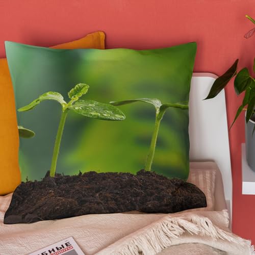 Housse de coussin 50x50cm en lin vert les 4 pièces par CEVAN - 3