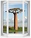 Produktbild StickersNews  Sticker Fenster La Panoplie L Baobab 80 x 100 cm OEM F502