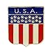 2 USA Flag Shield Lapel Pins American Set of 2 Pins Patriotic