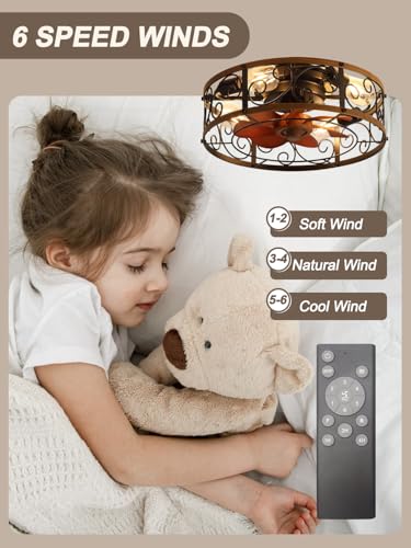 Image of 18 Inch Caged Ceiling Fan with Lights, Farmhouse Rustic Bladeless
