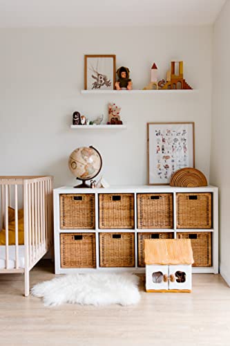Image of WBS Wicker wardrobe Basket for storage | wardrobe organizer for storage | Clothes storage box | books, cloths, newspapers, photos, toys, plants,12.5 x 13.5 x 12.5 Inch