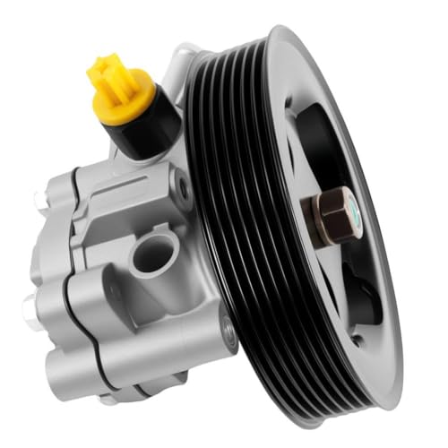 Pompe direction assistée 49110-ZV00A poulie compatible Pathfinder Titan 21-494