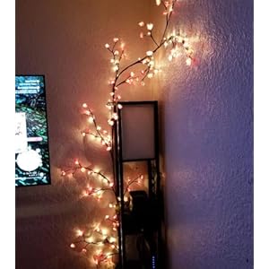 The Lighted Willow Vine Plants for Living Room Decor,LKGOOD Christmas Decorations, Light Trees with 144 LEDs Plug in for Decoration Inside(1PCS Black) The Lighted Willow Vine Plants for Living Room DecorLKGOOD Christmas Decorations Light Trees with 144 LEDs Plug in for Decoration Inside1PCS Black