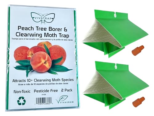 VivaTrap VT-105 Peach Tree Borer + Clearwing Moth Trap & Lure (2...