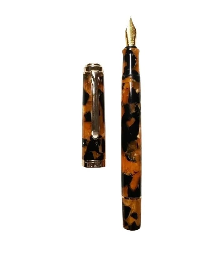 Stylo plume acrylique n°5 idéal pour les notes de cours étudiants