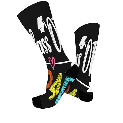 Class Of 2040 Sock For Men2