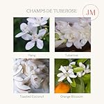 LA JOLIE MUSE Champs de Tuberose Scented Candle, Luxury Candles Gifts for Women, Gardenia & Ylang Ylang Candles for Home Scented, Natural Wax Candle, 75 Hours Long Burning - Image 3