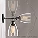 GLADFRESIT Industrial Wall Sconce Plug in Black, Adjustable Head Modern Ceiling Light Fixture Clear Glass Shade Wall Lamp 2 in 1 Design On/Off Switch Cord Indoor Living Room(Bulb Not Included)