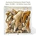 100 Real Fossilized Shark Teeth – Authentic Prehistoric Fossils with Acrylic Display Box – STEM Geology & Science Kit for Kids and Collectors – Fossil King