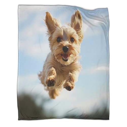 Couverture chien 3D plaid microfibre moelleux jeté canapé 150x200