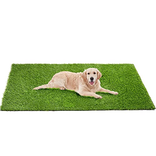 Amazon Best Sellers Best Reusable Dog Training Pads