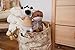 Crane Baby Woodland Nursery Basket, Animal Nursery Decor, Fabric Storage Bin, Collapsible Forest Decor, Hamper with Handles for Toys, Laundry, and Baby Items