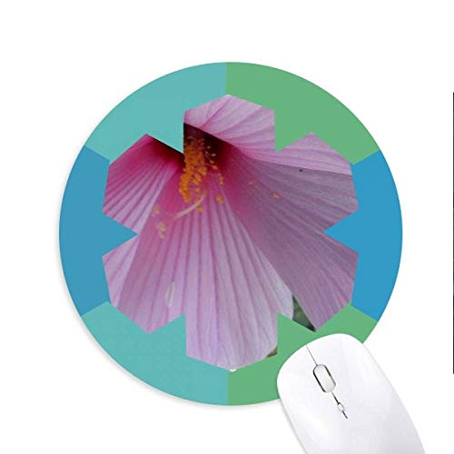 �s���N�̉Ԃ̕��i�ʐ^ �~�`����S���̐�}�E�X�p�b�h