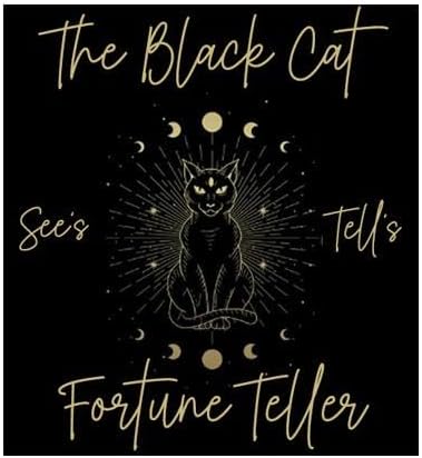 Miniatura 1 de Melody Jane Dolls Houses Cartel 112 de casa de muñecas con diseño de gato negro con adivinador de Halloween