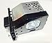 Advanced Lamps Genuine AL™ TY-LA1000 Lamp & Housing for Panasonic TVs - 90 Day Warranty