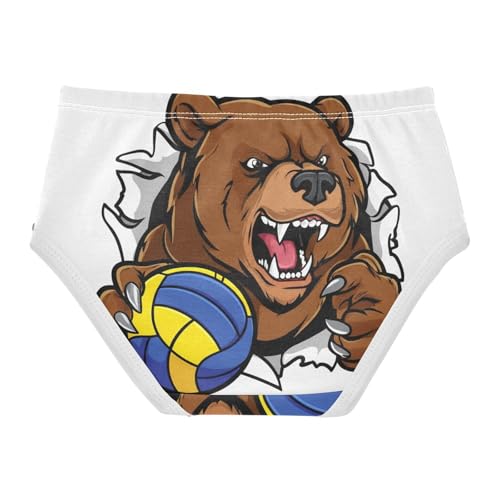 Cotton Toddler Underwear Custom Cartoon Bear White Cute Panties Girl Stylish Briefs Kids Undies 2t2