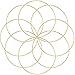 Outuxed 8 Pcs 10 inch Metal Crafts Hoops Macrame Creations Ring for DIY Crafts Dream Catchers, Gold