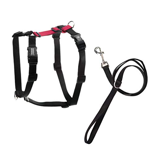 Blue-9 Pet Products No-Pull Balance Harness and Loose Leash Walking Set Dogs, Made in The USA, Red, Medium