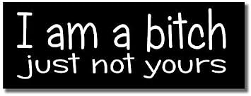 I Am a Bitch Funny Vinyl Sticker - Car Phone Helmet - Select Size