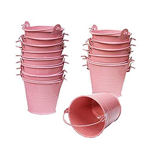 ALISSA 30Pack Mini Metal Bucket Tin Set With Handles And Sheer Bag Souveniers Gift Pails For Party Decorations