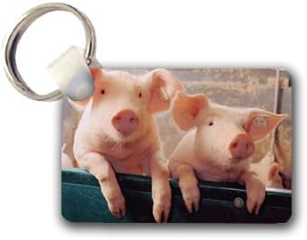 Pigs Keychain Key Chain Great Gift Idea
