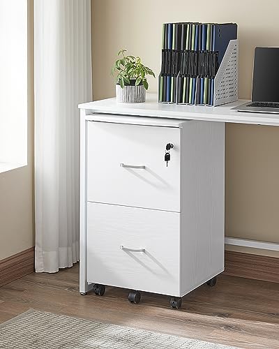 Image of VASAGLE 2-Drawer File Cabinet, Small Rolling, Locking, Printer Stand