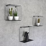 Galeara design