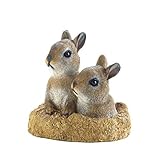 Rabbits PEEK-A-BOO GARDEN BUNNIES DECOR Bunny Rabbit Cute Animal Statue Yard Garden Room Indoor Outdoor Patio Gift Mantle Den Cabin