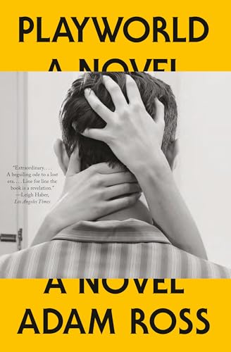 Playworld: A Novel view 2