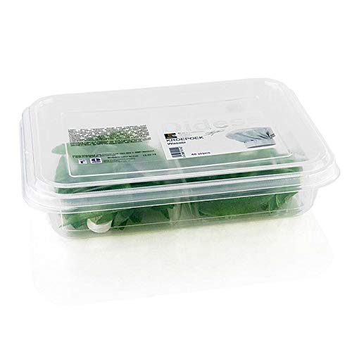 Kroepoek mit Wasabi, ungebacken, grün, 105g, 48 St