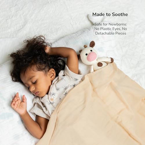 Image of Newborn Gift Set | Crochet Toy, Rattle & Muslin Swaddle Combo | Newborn Gift | Gifting for Babies | 100% Muslin swaddlecloth | Toys for Gifting| 3 Months + (AMBA Toy & Rattle with Swaddle)