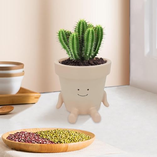 Pot de fleurs design et élégant pour plante verte d'intérieur