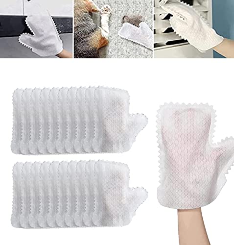 20PC Dust Disinfection Removal Gloves Household, Microfiber Cleaning Gloves, Kitchen Cleaning, Bedroom Scrub, Washable, Reusable Wet and Dry Gloves