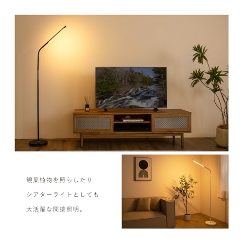 VENTOTA フロアライト 間接照明 フロアスタンド リモコン付き スタンドライト 照明 コーナー照明 LED おしゃれフロアランプ 調光調色 シンプル ブラック Liio-fx BK