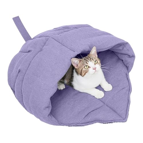 􂦂LxbhgAfUCVF^[_炩t̑Q܎qLp~HƂ̑LA