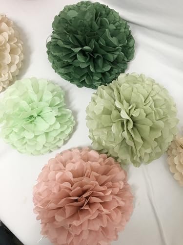 Image of Tissue Paper Pom Poms Kit Paper Flowers 12pieces for Gender Baby Shower Wedding Bridal Bachelorette Birthday Party Decorations (Boho Green + Dusty Pink)