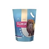 Clean cat
