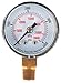 Pressure Gauge, Test, 1-1/2 in